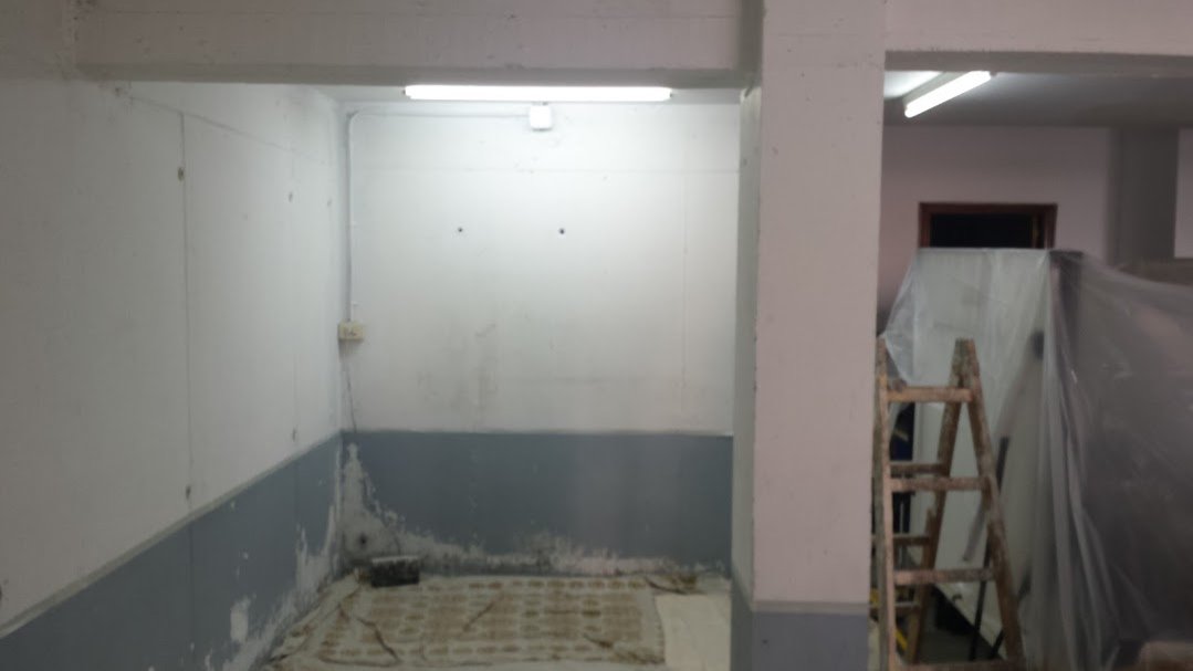 Pintura de garaje en blanco y gris